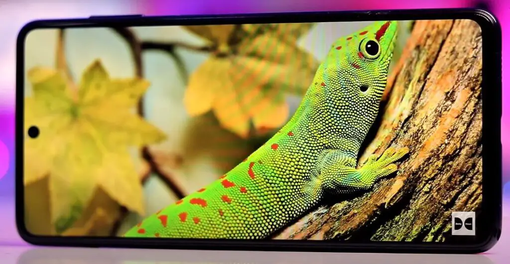 Samsung Galaxy M55 Display